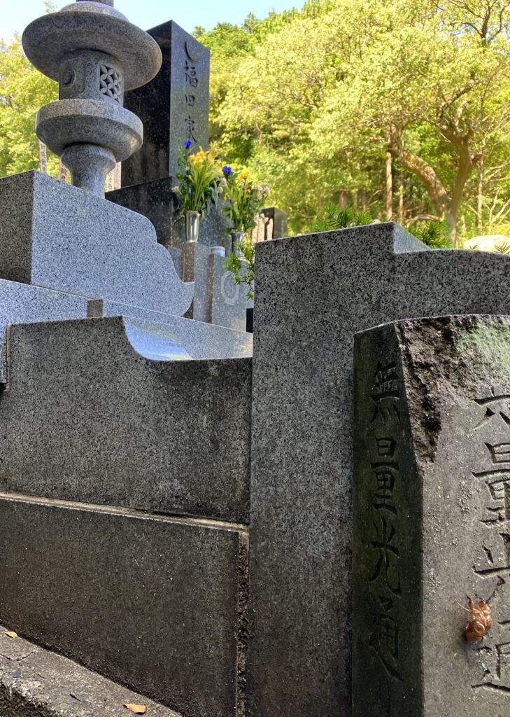 A cicada shell on stone in graveyard