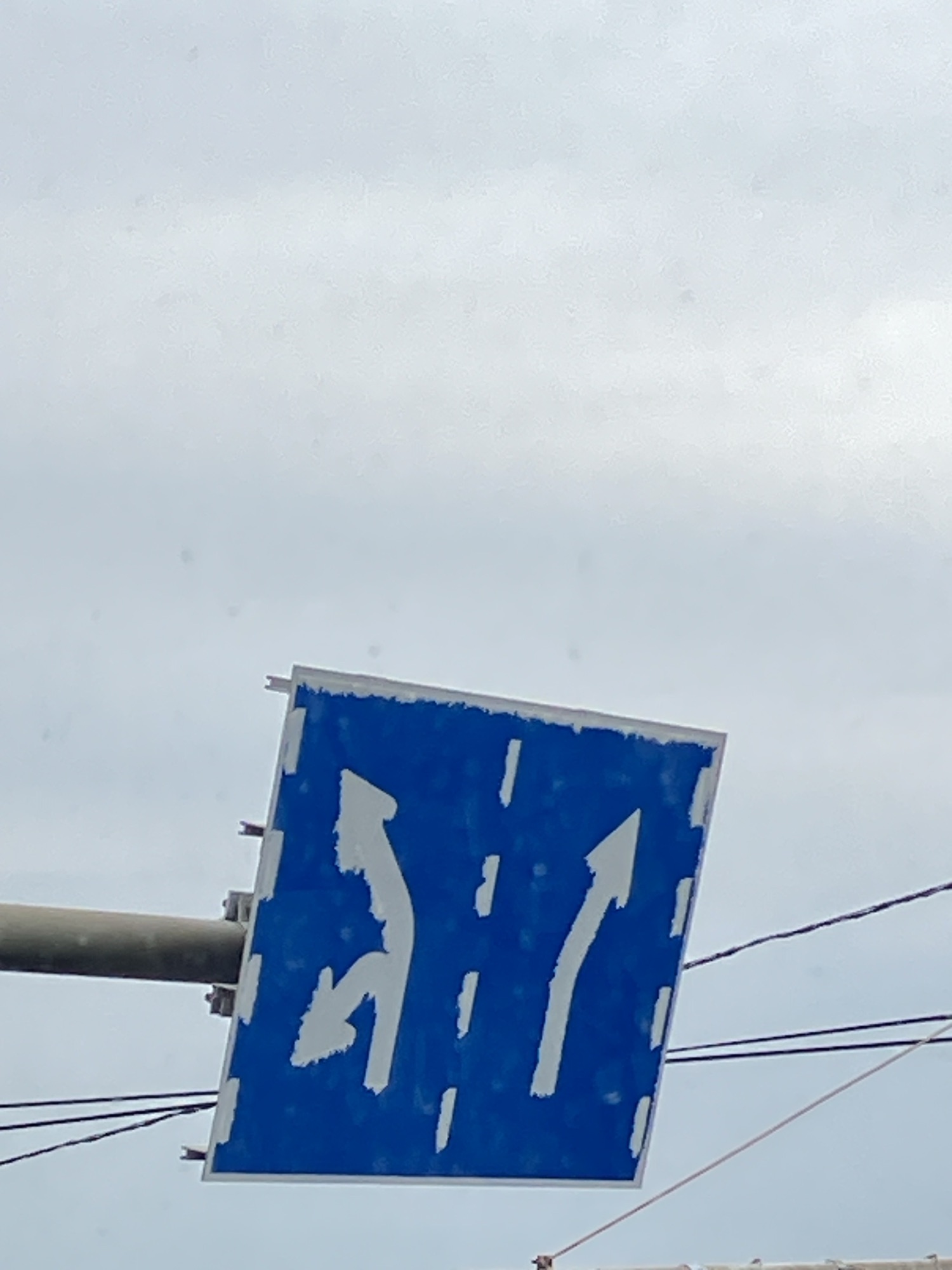 weekend-photo-by-selma-martin-selma